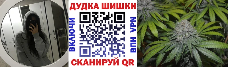 Как найти наркотики Печоры ГАШИШ  Бошки Шишки  Кокаин  блэк спрут маркетплейс  Меф мяу мяу 