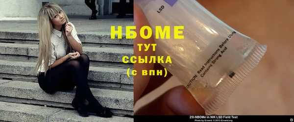 индика Арсеньев
