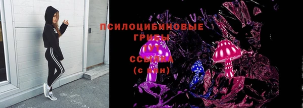 индика Арсеньев