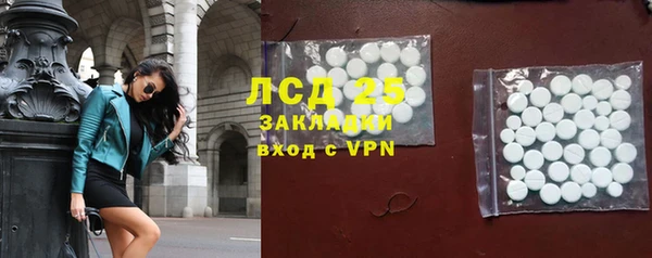 индика Арсеньев