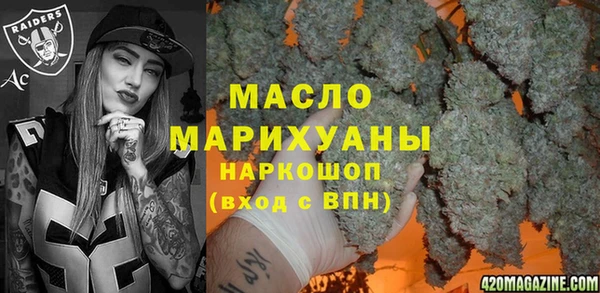 индика Арсеньев
