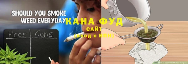 индика Арсеньев
