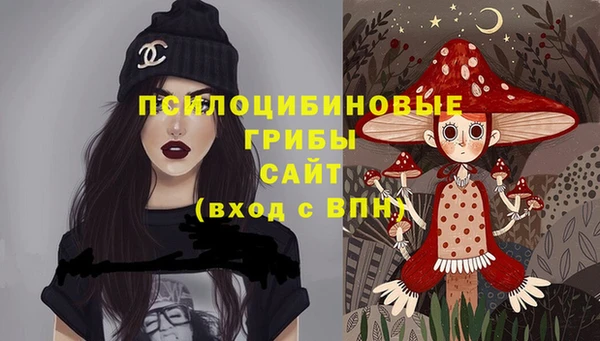 индика Арсеньев