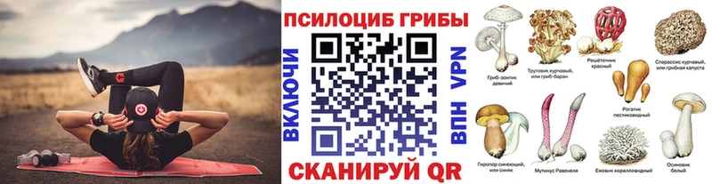 Псилоцибиновые грибы мухоморы  где продают наркотики  Печоры 